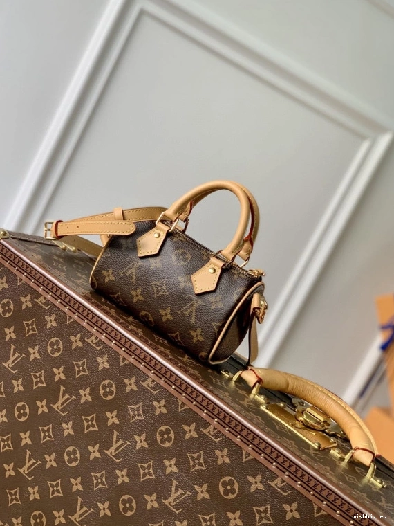 WIS VUITTON NANO LOUIS SPEEDY 0906
